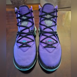 Lebron Nike 19 High, Size 13, Purple/Black/Teal